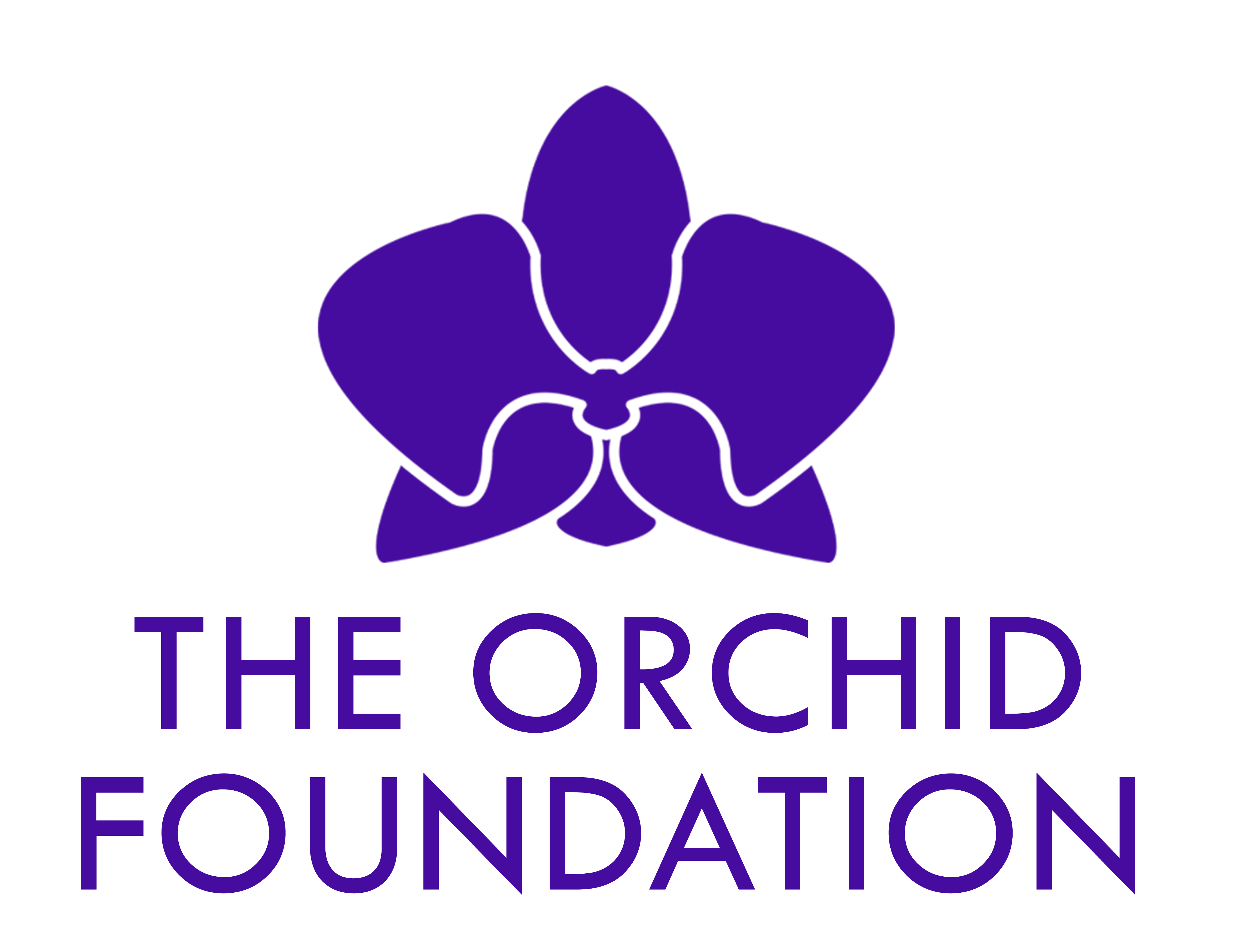 The Orchid Foundation